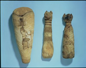 ミイラ化した猫とトキ